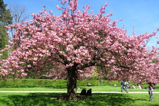 Stazione RER Parc de Sceaux